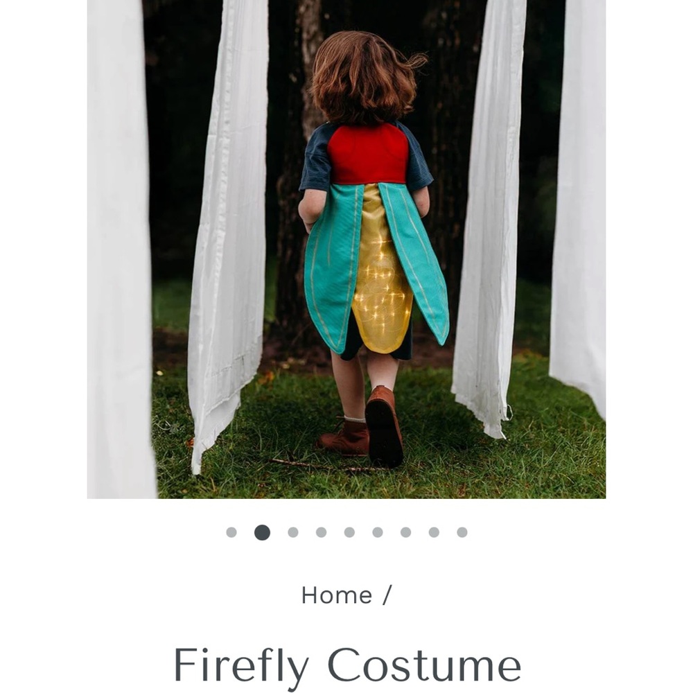 Bella Luna Firefly Costume for Kids- NEW